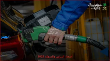 أسعار الوقود.. تعرف على أسعار البنزين والسولار في محطات 2025 المقبلة